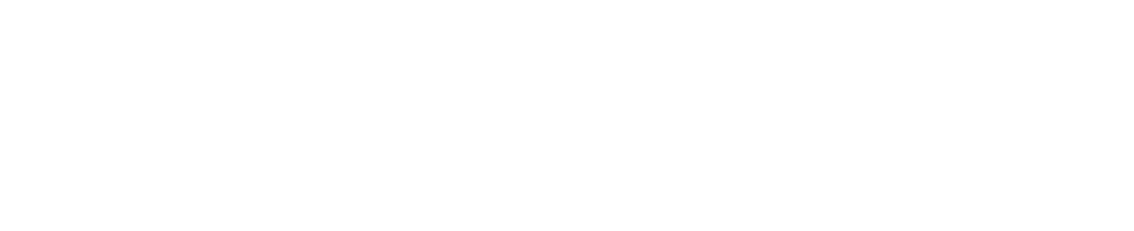 teamhouse logo